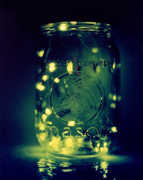 Home Is Where The Firefly Flies...