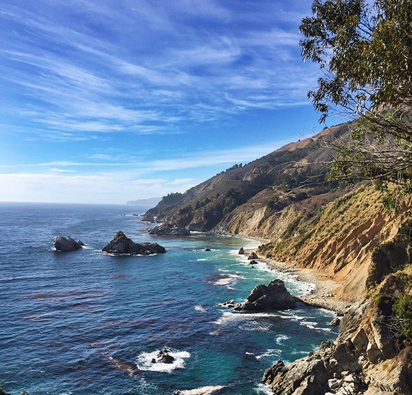 Deesign Does Big Sur... Into The Woods